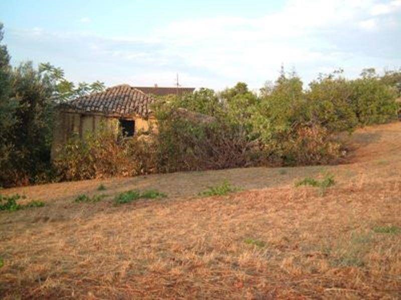 Terreno agricolo in Vendita a Controguerra, 65'000€, 14000 m²