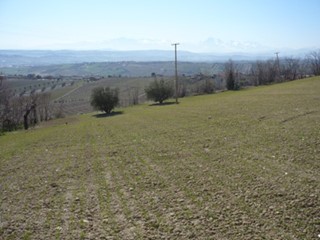 Terreno edificabile in Vendita a Colonnella, 225'000€, 5100 m²