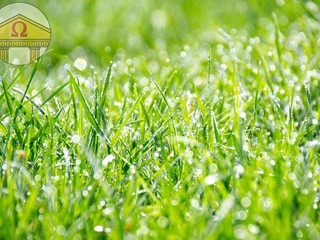 Terreno edificabile in Vendita a Treviso, 102'000€, 790 m²