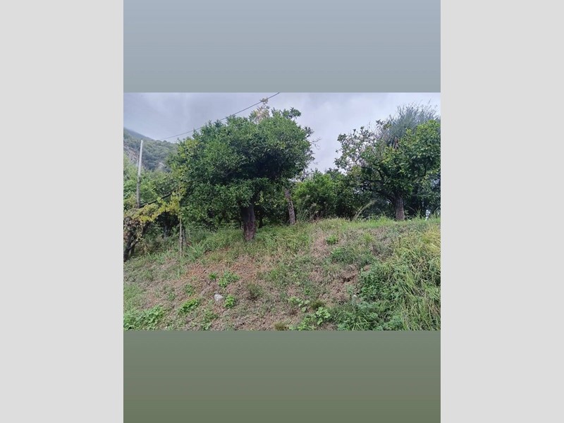 Terreno agricolo in Vendita a Nocera Inferiore, 55'000€, 5172 m²