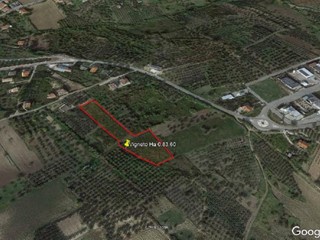 Terreno agricolo in Vendita a Cupello, 30'000€, 8360 m²