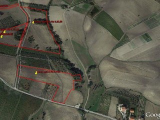 Terreno agricolo in Vendita a Cupello, 60'000€, 18962 m²