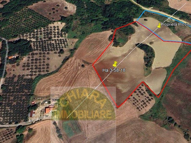 Terreno agricolo in Vendita a Lentella, 8'000&euro;, 35818 m²