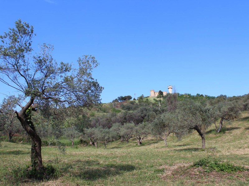 Terreno agricolo in Vendita a Monteodorisio, 18'000€, 12310 m²