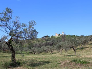 Terreno agricolo in Vendita a Monteodorisio, 18'000€, 12310 m²