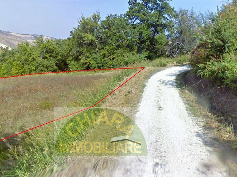 Terreno agricolo in Vendita a Cupello, 11'800€, 23730 m²