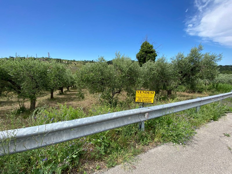 Terreno agricolo in Vendita a Cupello, 37'000€, 16400 m²