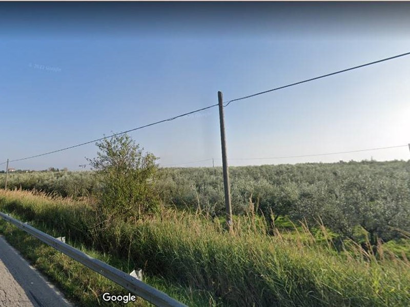 Terreno agricolo in Vendita a Vasto, 65'000&euro;, 25990 m²