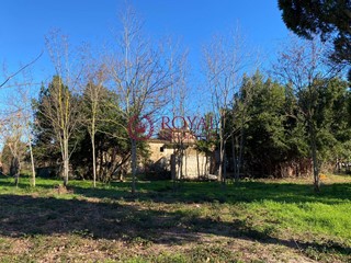 Rustico in Vendita a Rosignano Marittimo, 500'000€, 1050 m²