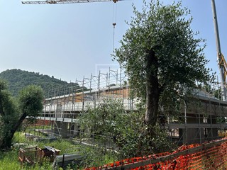 Villa in Vendita a Manerba del Garda, 990'000€, 250 m²