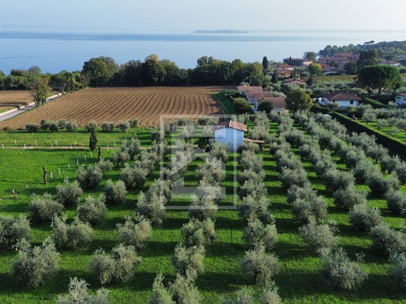 Terreno edificabile in Vendita a Manerba del Garda, 750'000€, 3300 m²
