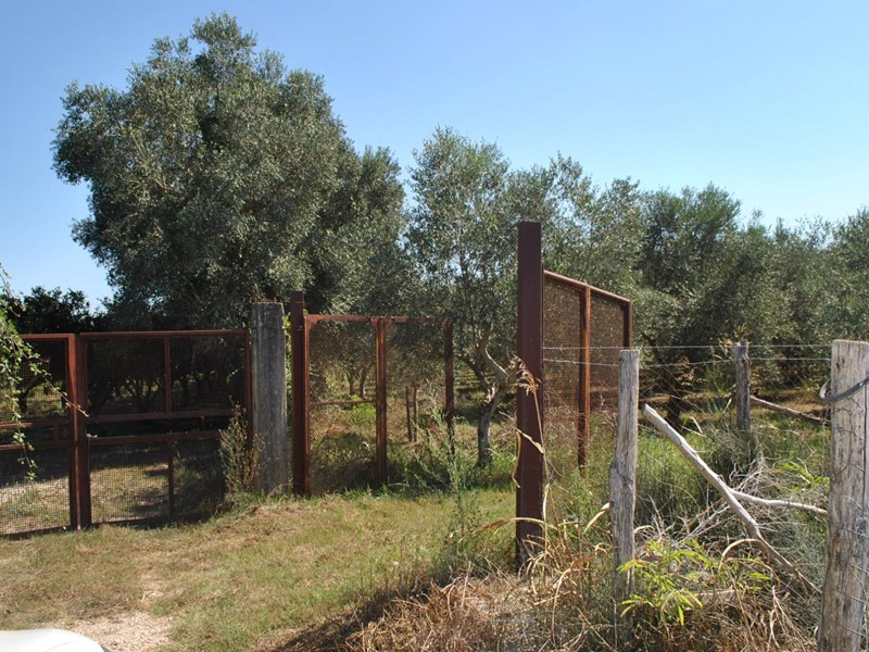 Terreno agricolo in Vendita a Eboli, 28'000€, 6227 m²