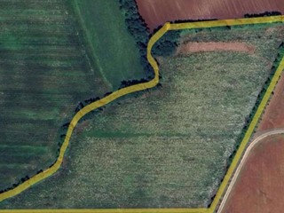 Terreno agricolo in Vendita a Aviano, 127'300€, 25460 m²