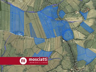 Terreno agricolo in Vendita a Matelica, 425'000&euro;, 250000 m²