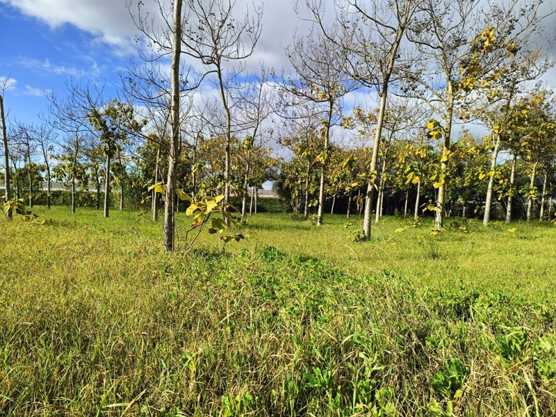 Casa Indipendente in Vendita a Nuraminis, 65'000€, 60 m²