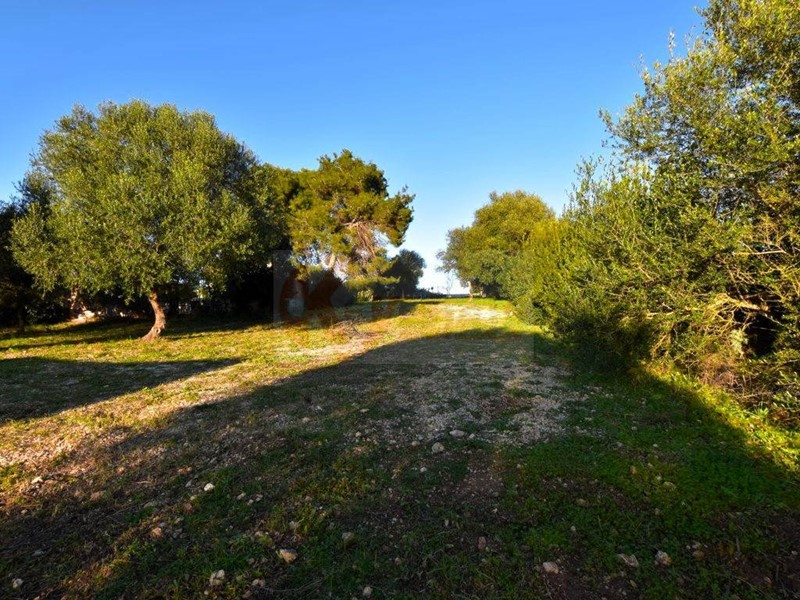 Terreno agricolo in Vendita a Sassari, 23'000€, 3200 m²