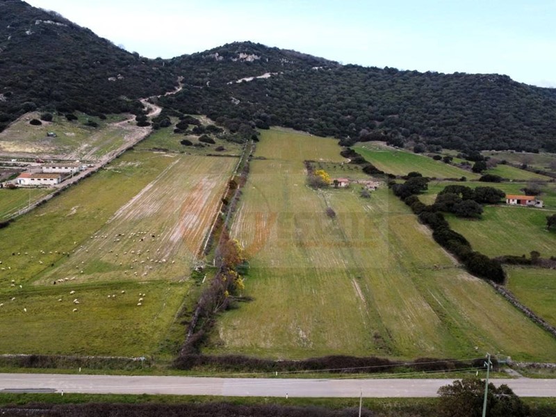 Terreno agricolo in Vendita a Siligo, 45'000€, 83990 m²