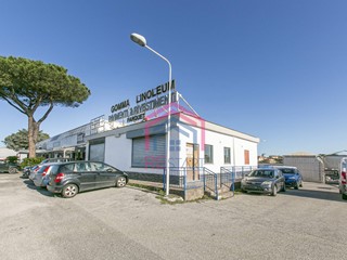 Immobile commerciale in Affitto a Pomezia, 1'700€, 100 m²