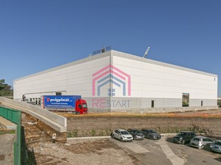 Capannone in Affitto a Pomezia, 33'000&euro;, 6000 m²