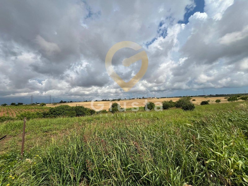 Terreno agricolo in Vendita a Brindisi, 12'000€, 10118 m²