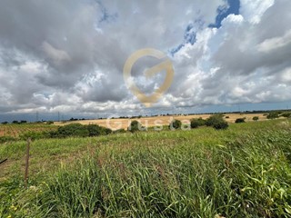 Terreno agricolo in Vendita a Brindisi, 12'000€, 10118 m²