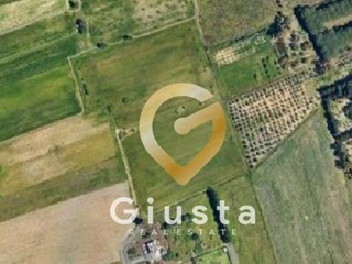 Terreno agricolo in Vendita a Brindisi, 37'000€, 20200 m²