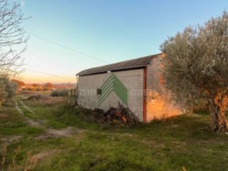 Laboratorio in Vendita a Bellante, 45'000€, 155 m²