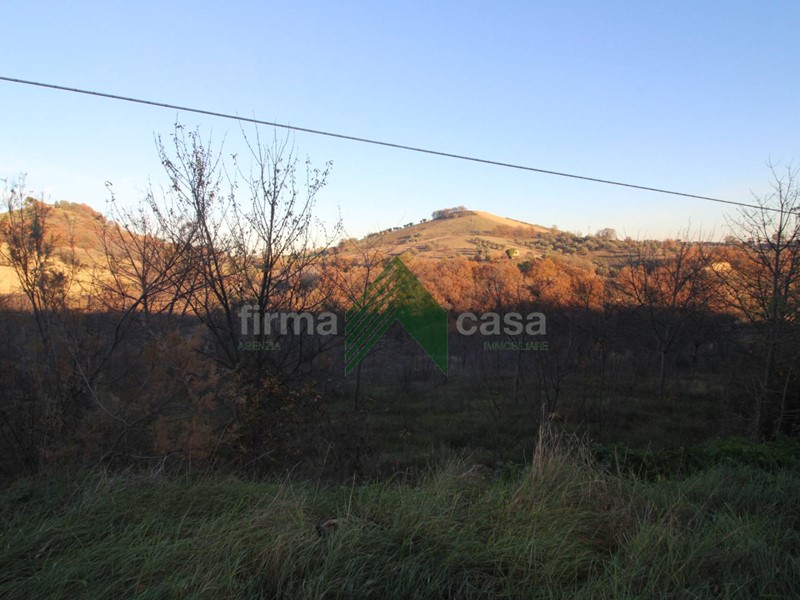 Terreno agricolo in Vendita a Bellante, 45'000€, 37430 m²
