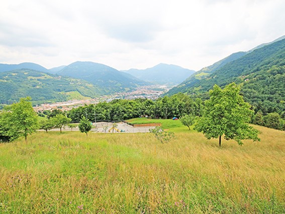 Terreno edificabile in Vendita a Gazzaniga, 50'000€, 1200 m²