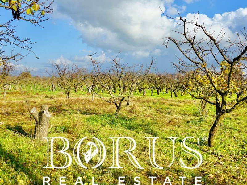 Terreno agricolo in Vendita a Teverola, 182'000€, 4917 m²