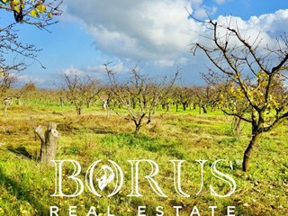 Terreno agricolo in Vendita a Teverola, 182'000€, 4917 m²