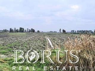 Terreno agricolo in Vendita a Castel Volturno, 60'000€, 13645 m²