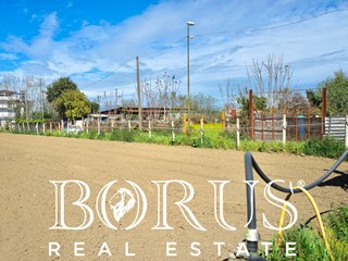 Terreno agricolo in Vendita a Sant'Arpino, 200'000€, 1577 m²