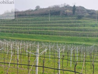 Terreno agricolo in Vendita a Colognola ai Colli, 650'000€, 33000 m²
