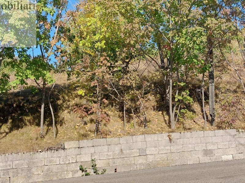 Terreno agricolo in Vendita a Vestenanova, 10'000€, 3722 m²