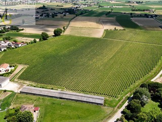 Terreno agricolo in Vendita a Pojana Maggiore, 760'000&euro;, 57466 m²