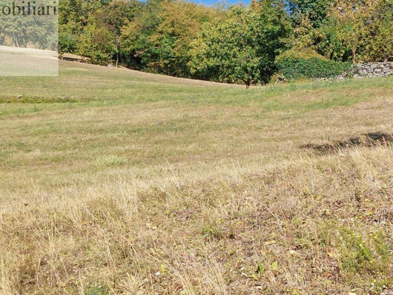 Terreno agricolo in Vendita a Vestenanova, 50'000€, 15497 m²