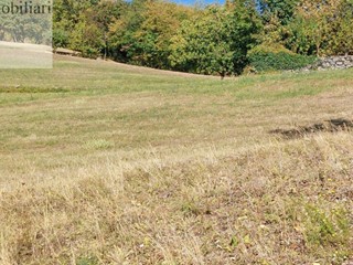 Terreno agricolo in Vendita a Vestenanova, 50'000€, 15497 m²