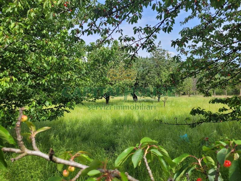 Terreno agricolo in Vendita a Mercato San Severino, 60'000&euro;, 4800 m²