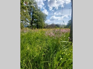 Rustico in Vendita a Scarperia e San Piero, 128'000€, 350 m²