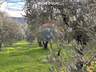 Terreno agricolo in Vendita a Massa Marittima, 65'000€, 10700 m²