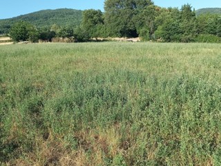 Rustico in Vendita a Bibbiena, 350'000€, 300 m²