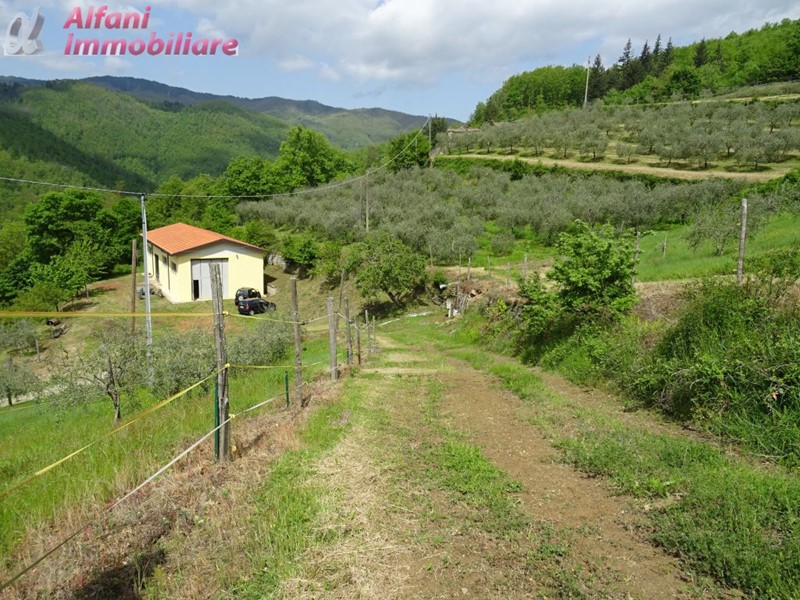 Terreno agricolo in Vendita a Pratovecchio Stia, 235'000€, 400000 m²