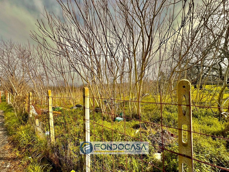 Terreno agricolo in Vendita a Sant'Antimo, 175'000€, 3500 m²