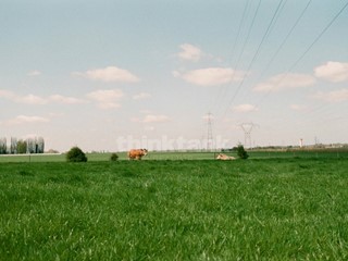 Terreno agricolo in Vendita a Castel di Iudica, 135'000€, 156172 m²