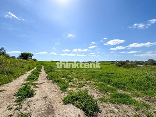 Terreno agricolo in Vendita a Noto, 70'000€, 10000 m²