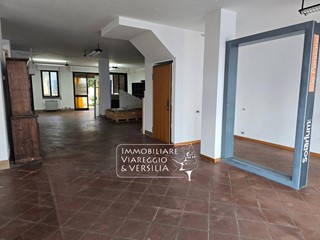 Laboratorio in Vendita a Viareggio, 299'000€, 292 m²
