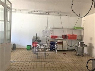 Laboratorio in Vendita a Viareggio, 220'000€, 300 m²