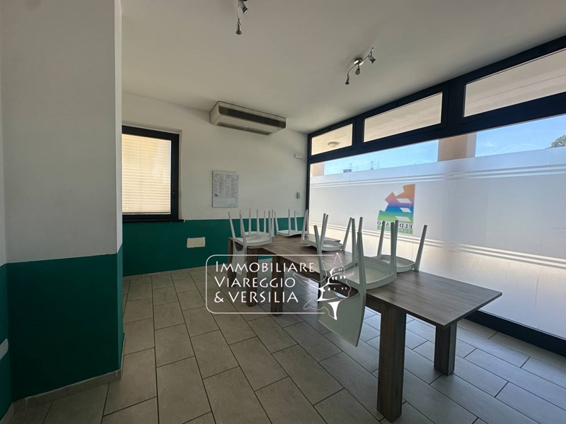 Capannone in Affitto a Camaiore, 2'000€, 180 m²