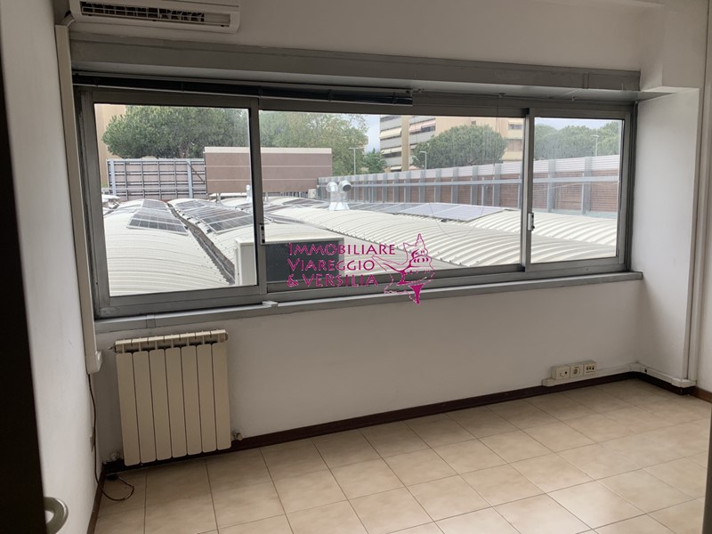 Capannone in Affitto a Viareggio, 700€, 60 m²